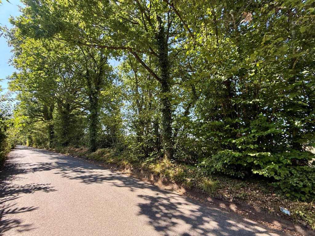 Lot: 8 - FOUR PARCELS OF LAND MEASURING APPROX FOUR ACRES - Land on corner of George Lane and Burberry Lane